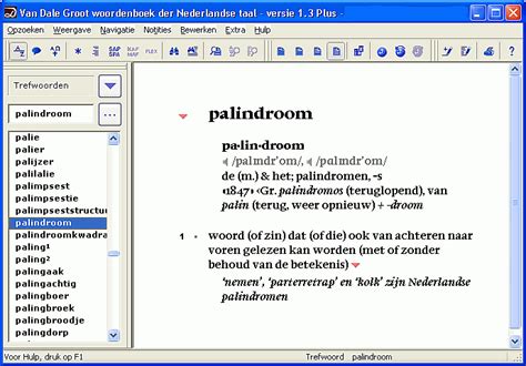 palindroom betekenis.